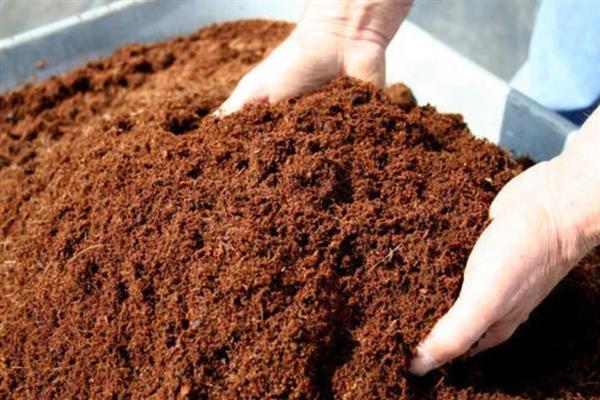 Coir pith