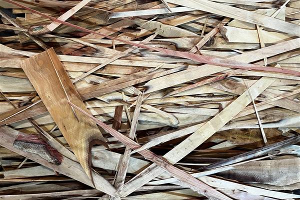 Eucalyptus waste