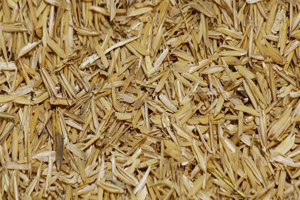Rice husk